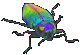 A small transparent gif of a jewel beetle with a flashy, shifting rainbow exoskeleton.